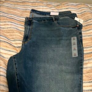 Levi's Blue Denim Jeans. Plus size 30.